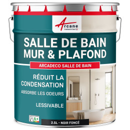 Peinture salle de bains mur et plafond :ARCADÉCO SALLE DE BAIN 2.5 L - Noir foncé  RAL 9005