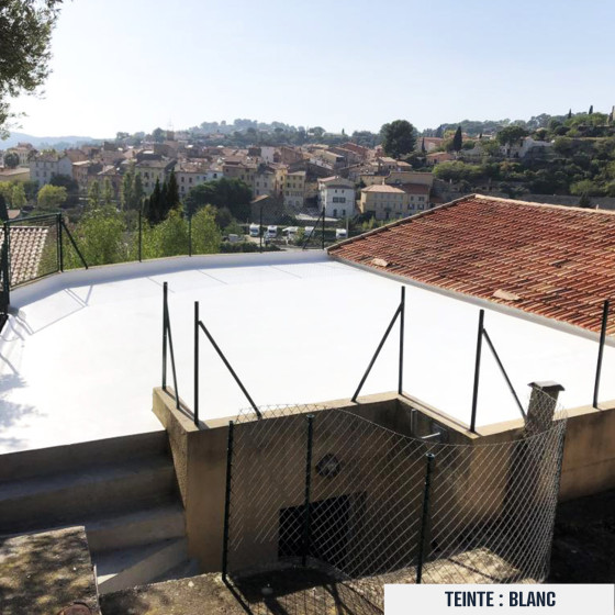 Impermeabilizzazione del tetto terrazza - Resina Poliuretanica Colorata: ARCATHAN 4 kg Bianco