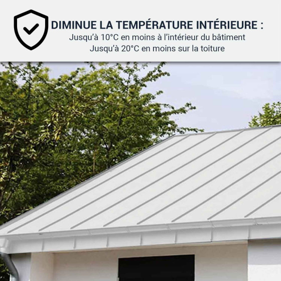 Coolroof, Peinture anti chaleur toit métallique : Arcareflect Antico
