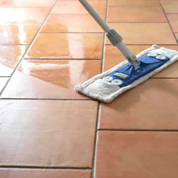 Producto de limpieza natural